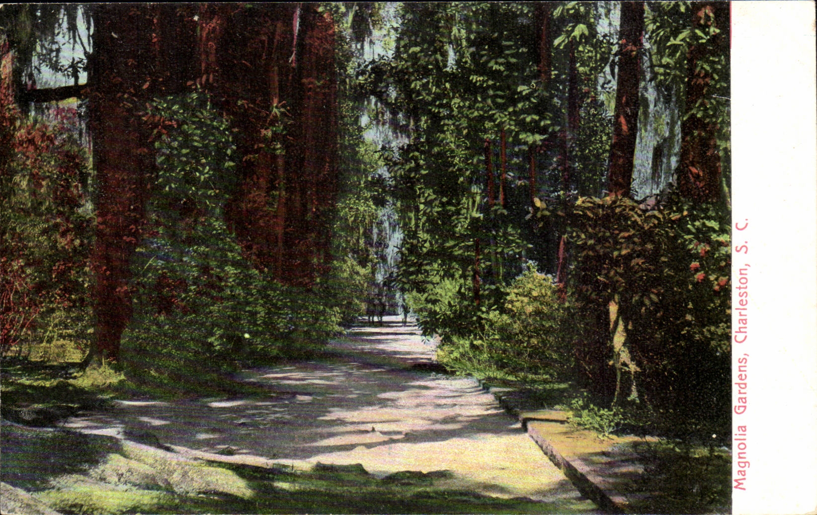 CPA Magnola Gardens Charleston SC