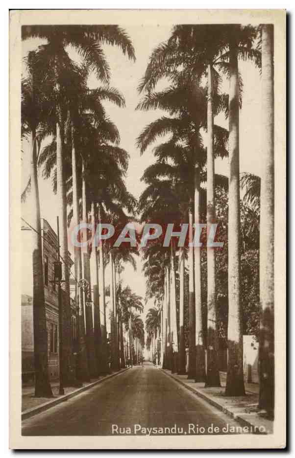 Rua Paysandu, Rio de Janeiro — vue de rue bordée de palmiers — éditeur J. S. Alfonso, n° 90