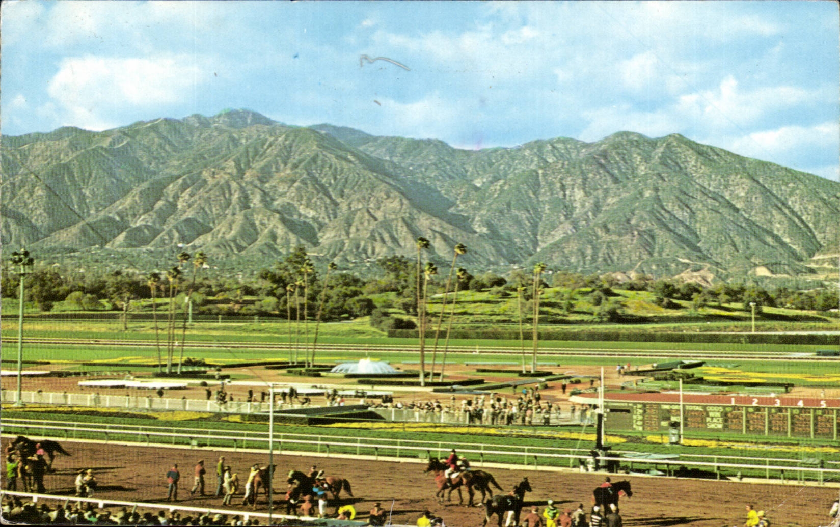 Etats unis CPA Santa Anica Arcadia California Course de chevaux