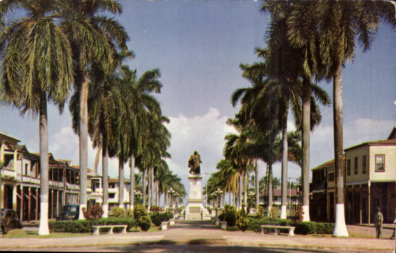 Panama - Colon - Palm lined broadway and imposing statue of Christopher Colombus - CPA 