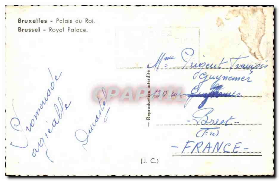 Belgique - Belgien - Belgium - Brussels - Palais du Roi - CPA  — Rückseite