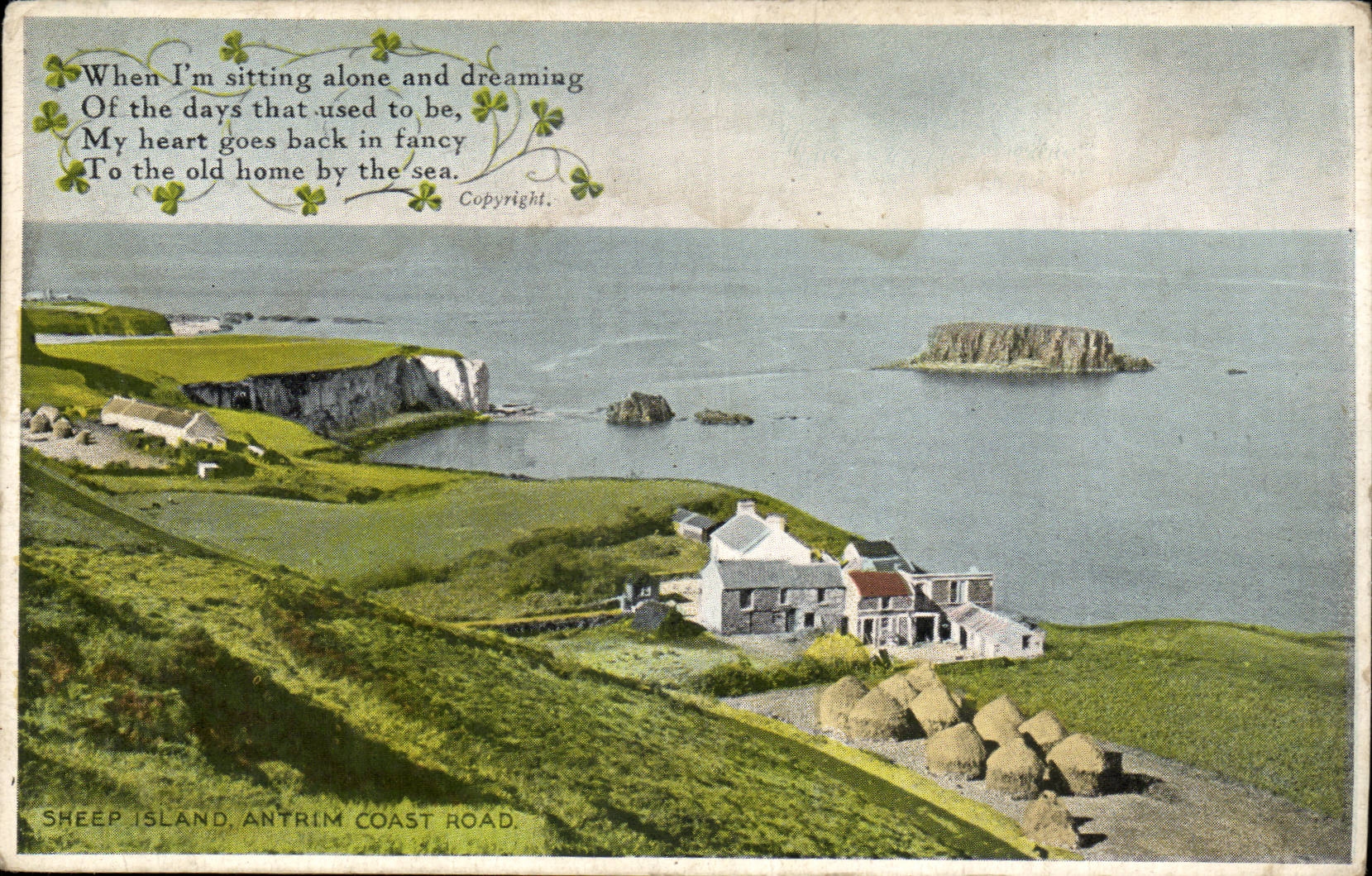CPA Irlande Ireland Sheep island Antrim Coast Road