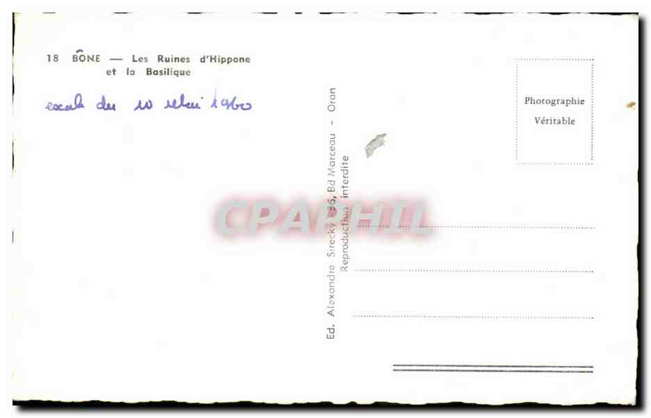 Algerie Bone CPA Les ruines d'Hippone et le basilique — Back