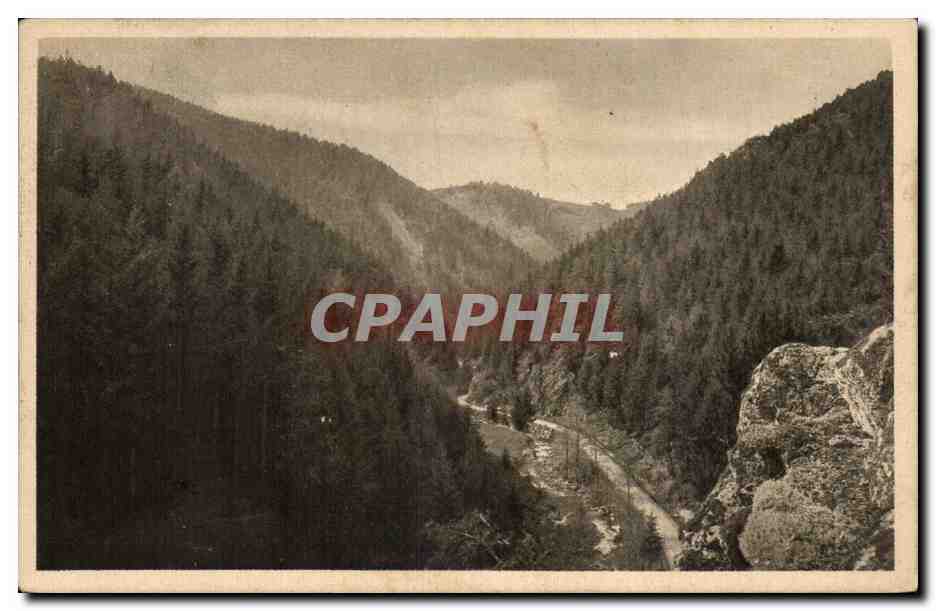 Allemagne CPA Aus dem Bernecktal