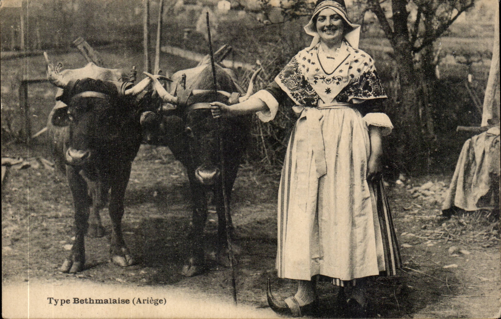 Ariege CPA Bethmalaise Vaches Boeufs Elevage (folklore costume)