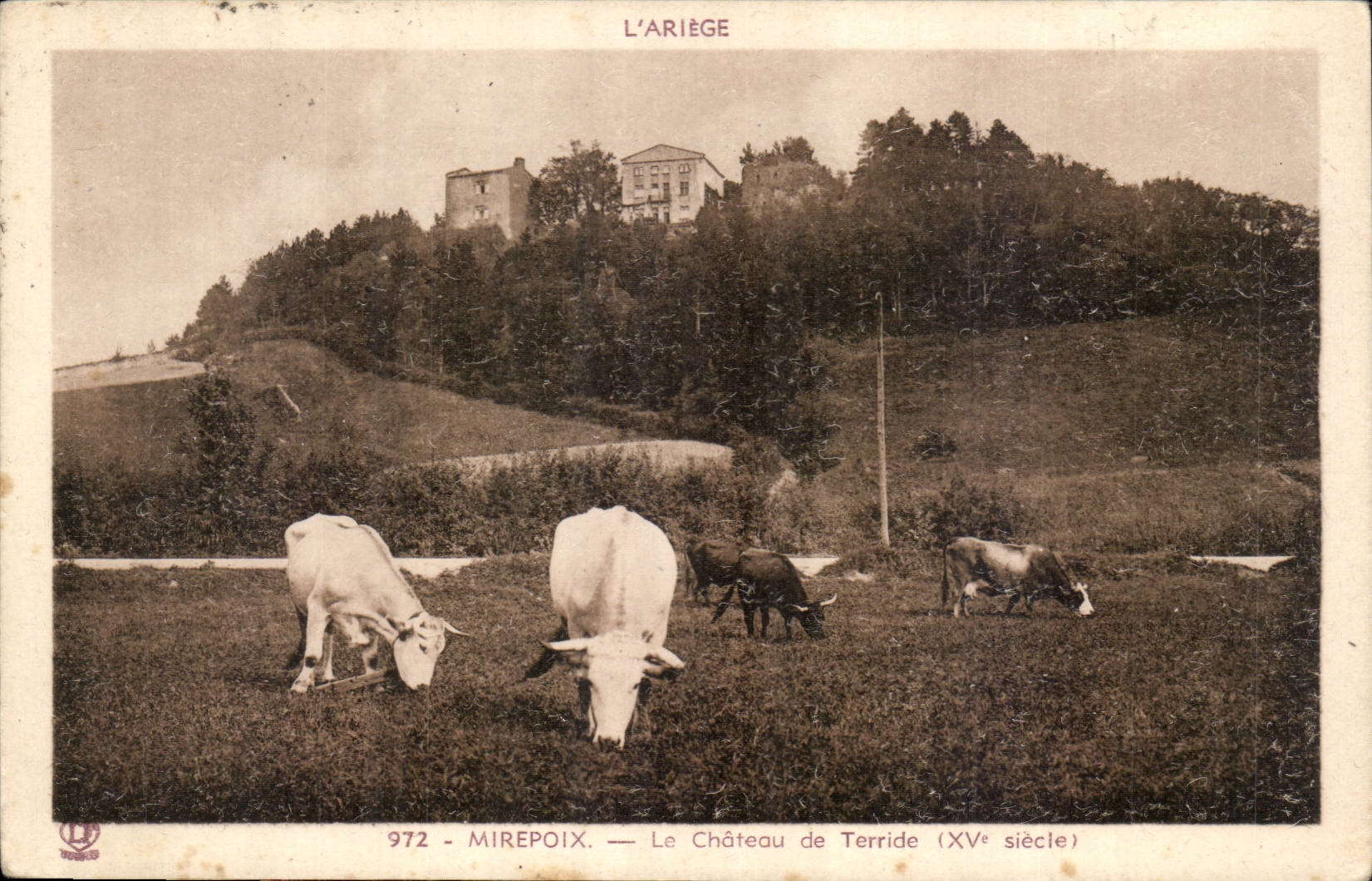 Mirepoix CPA Le chateau de Terride (15eme)