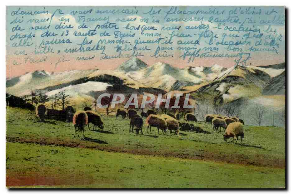 CPA La chaine des Pyrenees Paturages de montagne