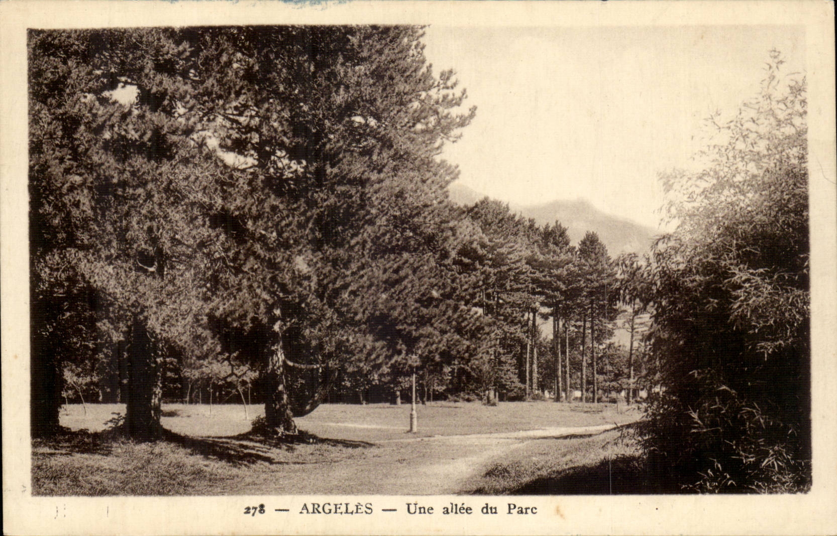 Argelès — Une allée du Parc — Édition Photo Loït-Rois