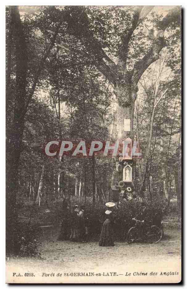 Foret de St Germain en Laye CPA Le chene des anglais (arbre tree)