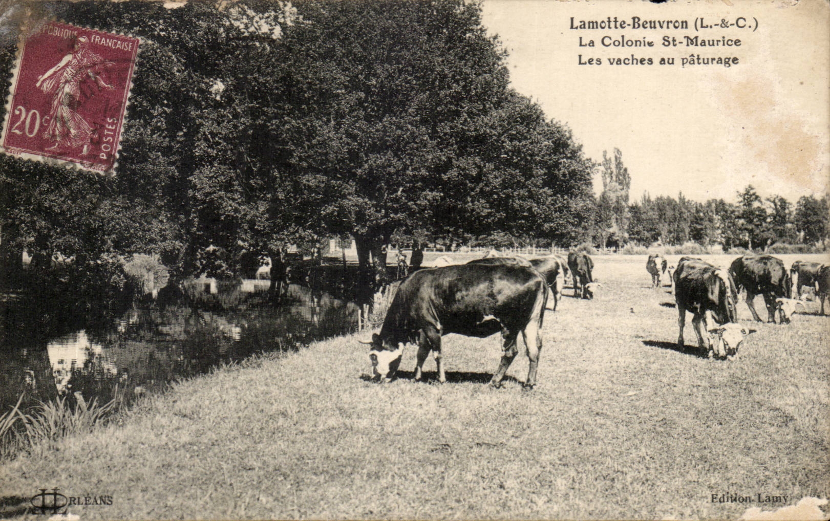 Lamotte-Beuvron (L.-&-C.) — La Colonie St-Maurice — Les vaches au pâturage — Édition Lamvy