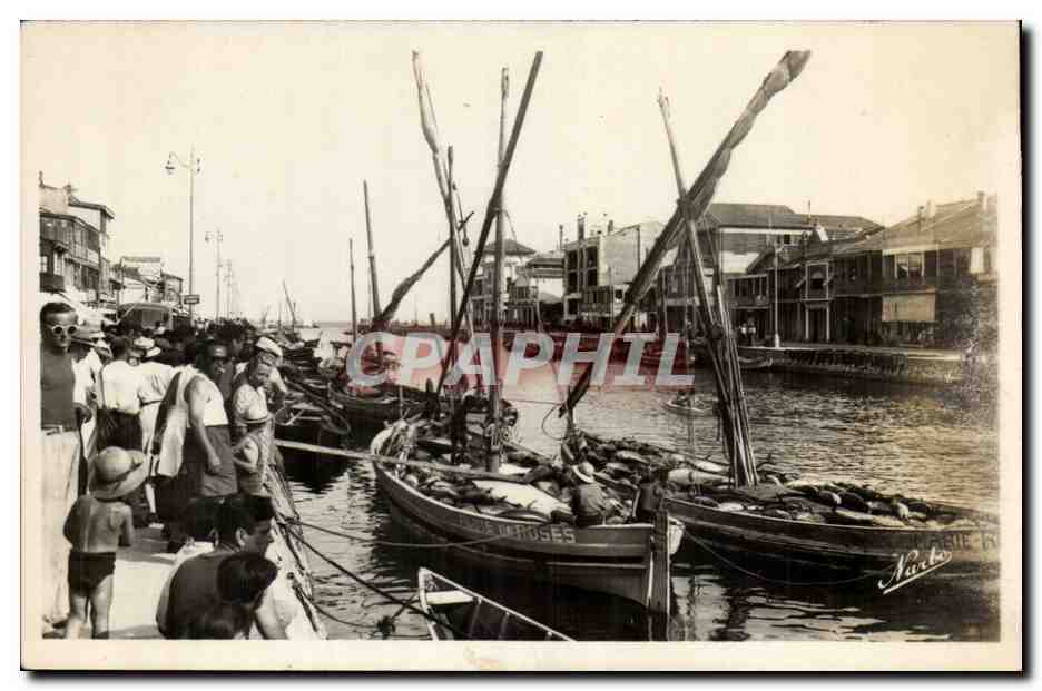 Palavas les Flots CPA Une belle peche de thons (tuna)