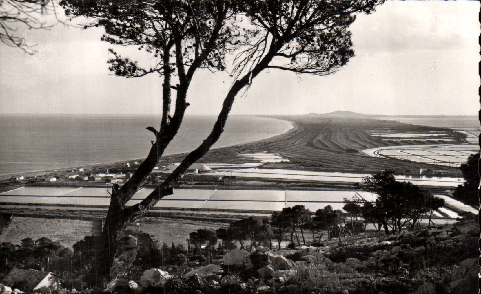 Cete Sete CPA Vue panoramique sur les salins