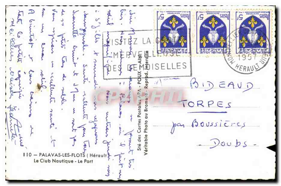 Palavas les Flots CPA Le club nautique Le port — Back