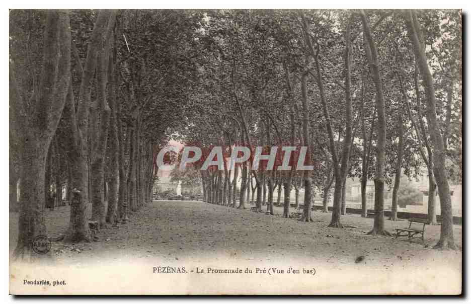 Pezenas CPA La promenade du Pre (vue d'en bas)