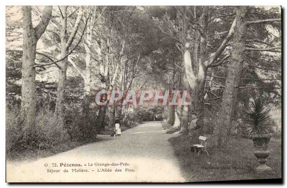 Pezenas CPA La grange des Pres Sejour de Moliere L'allee des Pins