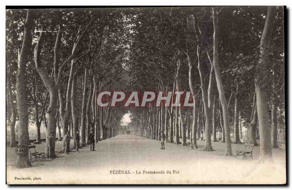 Pezenas - La Promenade du Pre - CPA 