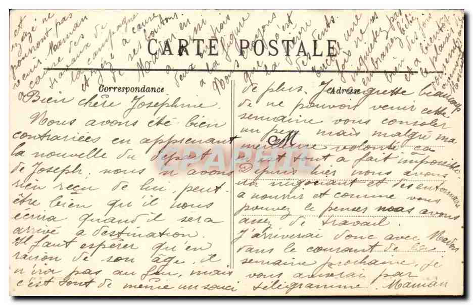 Neffies - Vue Generale - CPA  — Back
