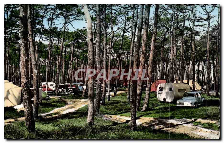 Le Grau d'Agde - La Tamarissiere - Camping sous les Arbres - CPA 