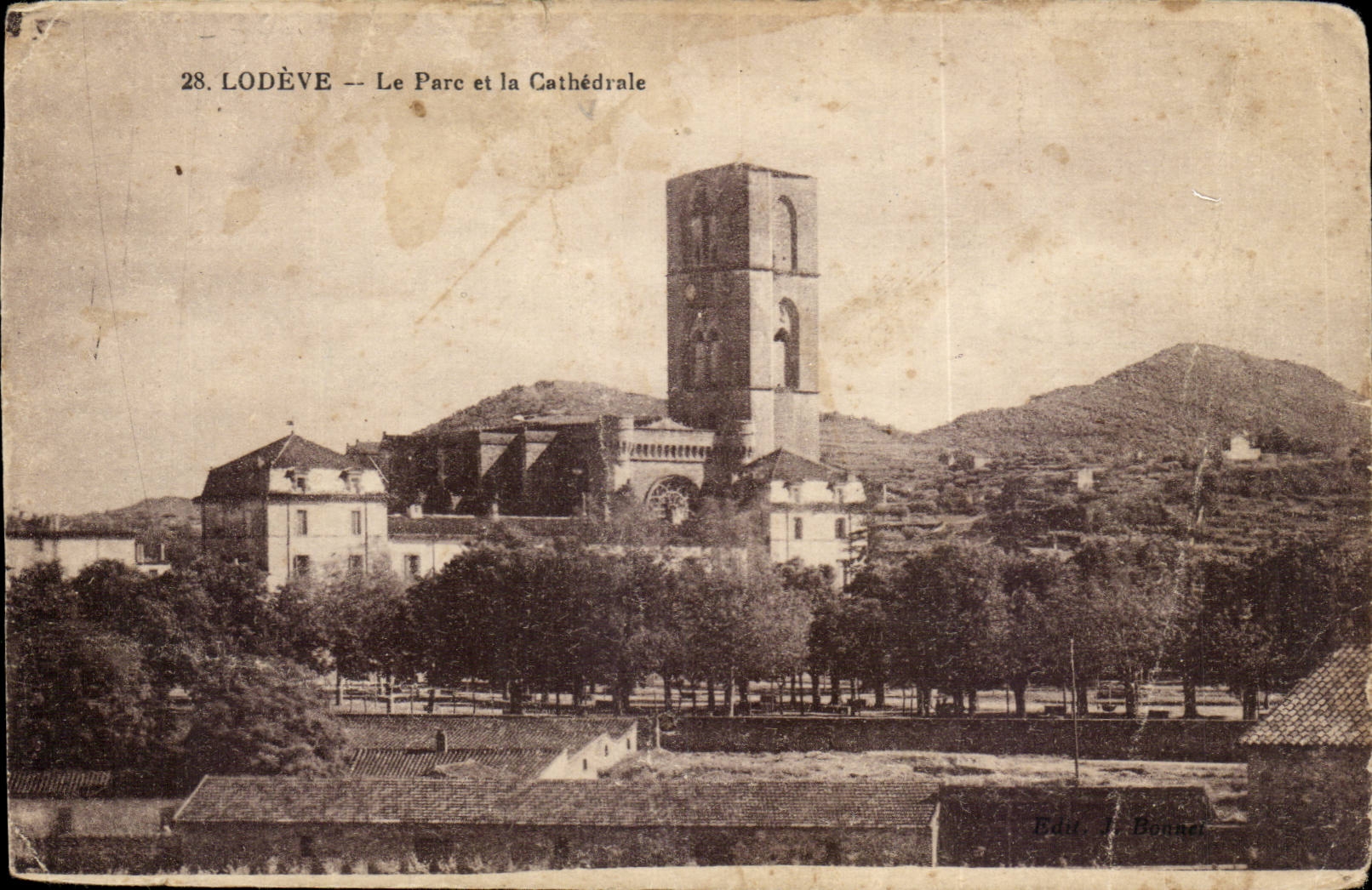 Lodeve - Le Parc et la Cathedrale - CPA 
