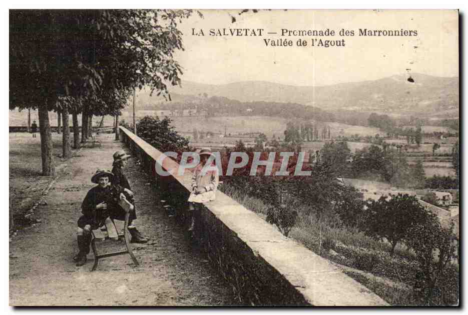 La salvetat - Promenade des Marronniers - Vallee de l'Agout - CPA 