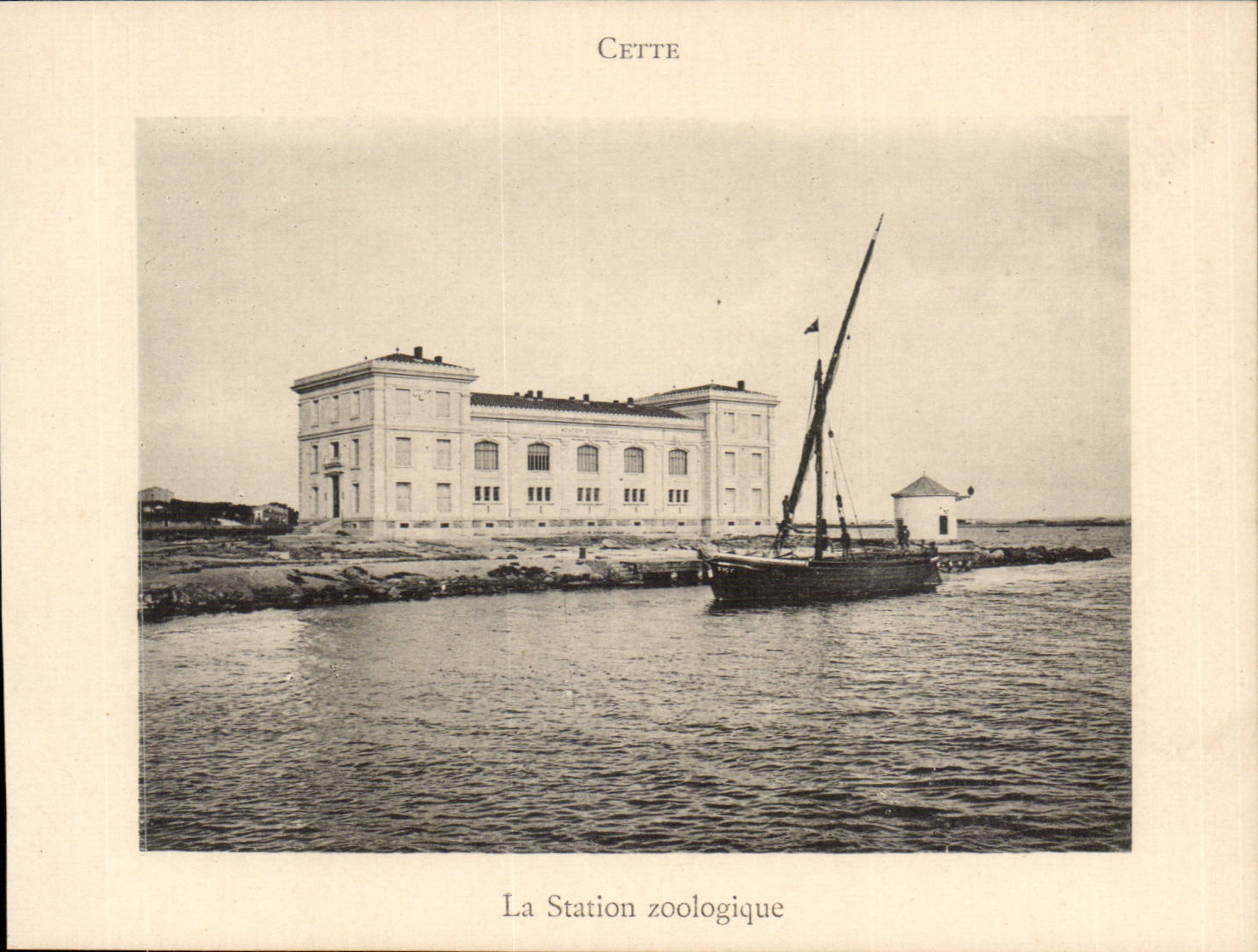 Sete - Cette - Station balneaire - La station zoologique - CPA 