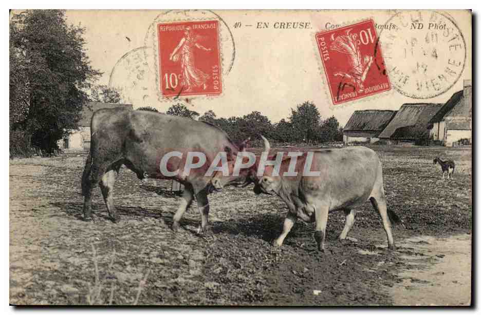 Creuse Crozant CPA Combat de boeufs TOP