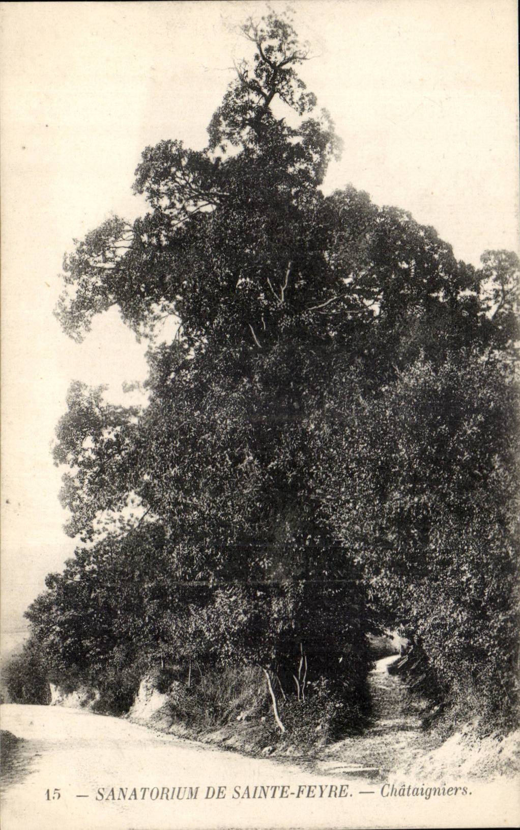 Sanatorium de Sainte-Feyre — Châteaigniers — Éditeur inconnu, n° 15