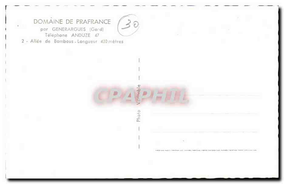 Domaine de Prafracne par Generargues CPA Allee de bambous (bamboo) — Rückseite