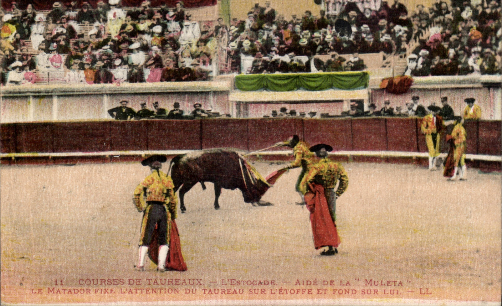 Animal - Course de Taureaux - L'estocade Aide de la Muleta Le Matador Fixe Attention - bull fighting CPA 