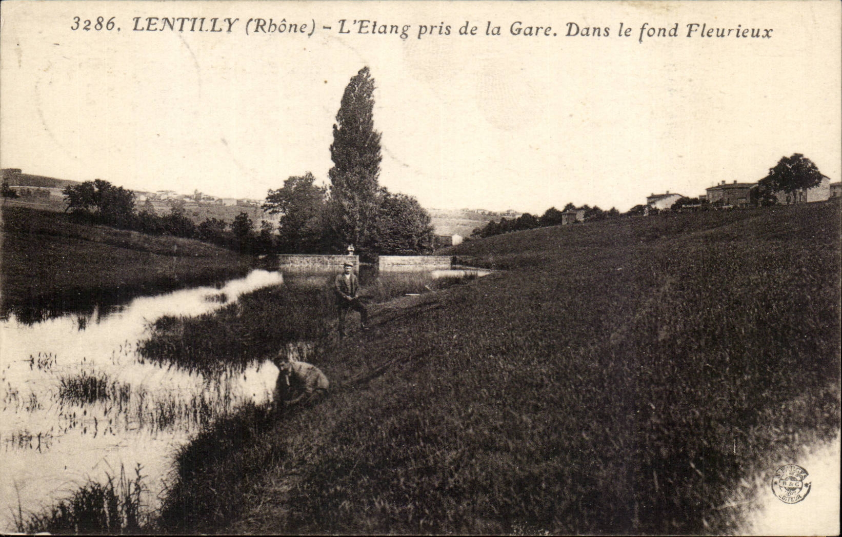 Lentilly (Rhône) - L'Etang pris de la Gare. Dans le fond Fleurieux