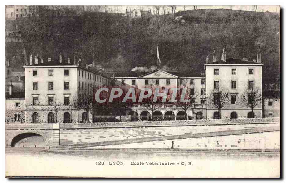Lyon - École Vétérinaire - G. B. - n° 128