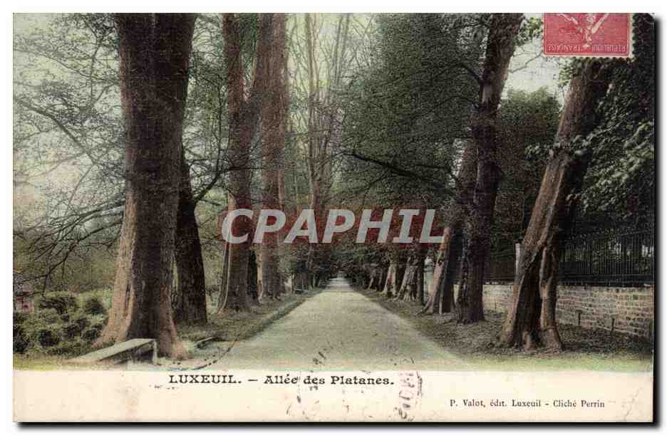 Luxeuil CPA Allee des platanes