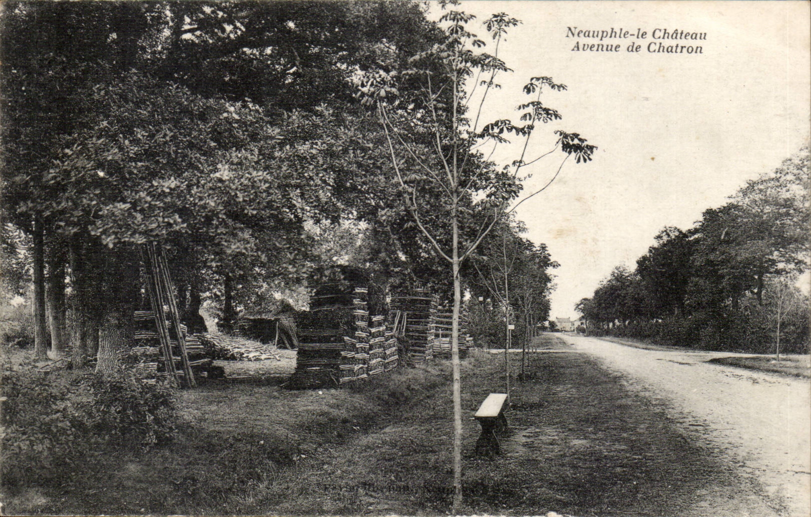 Neauphle le Chateau CPA Avenue de Cahtron