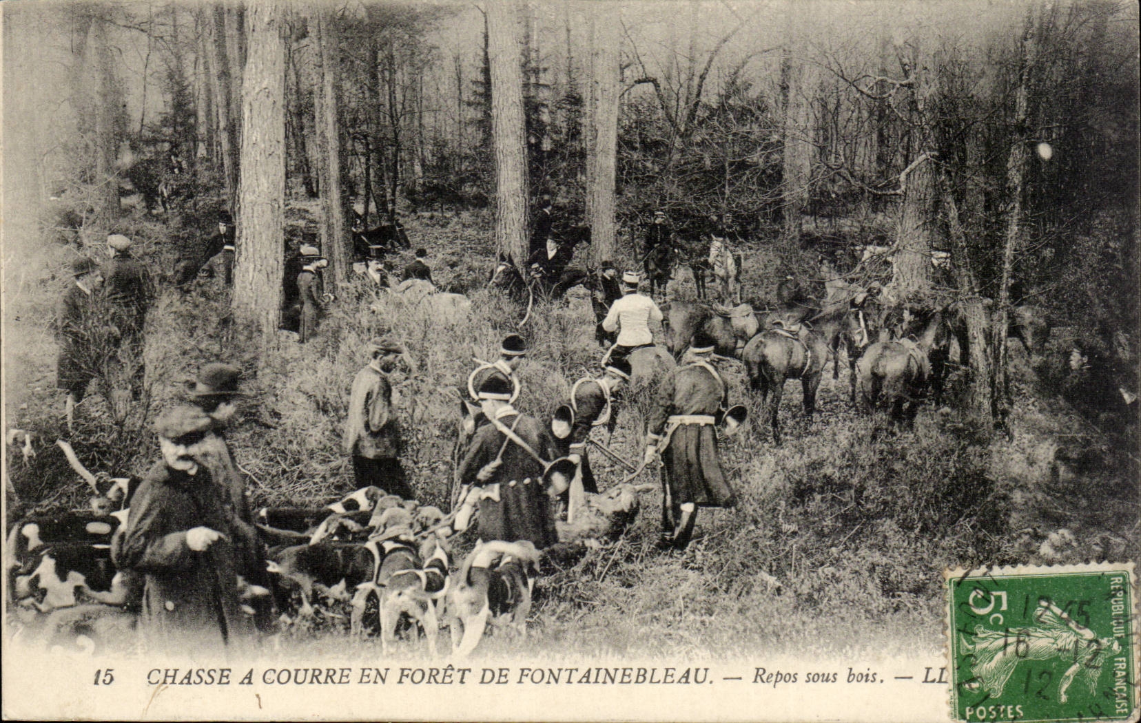Chasse à courre en forêt de Fontainebleau — Repos sous bois — LL