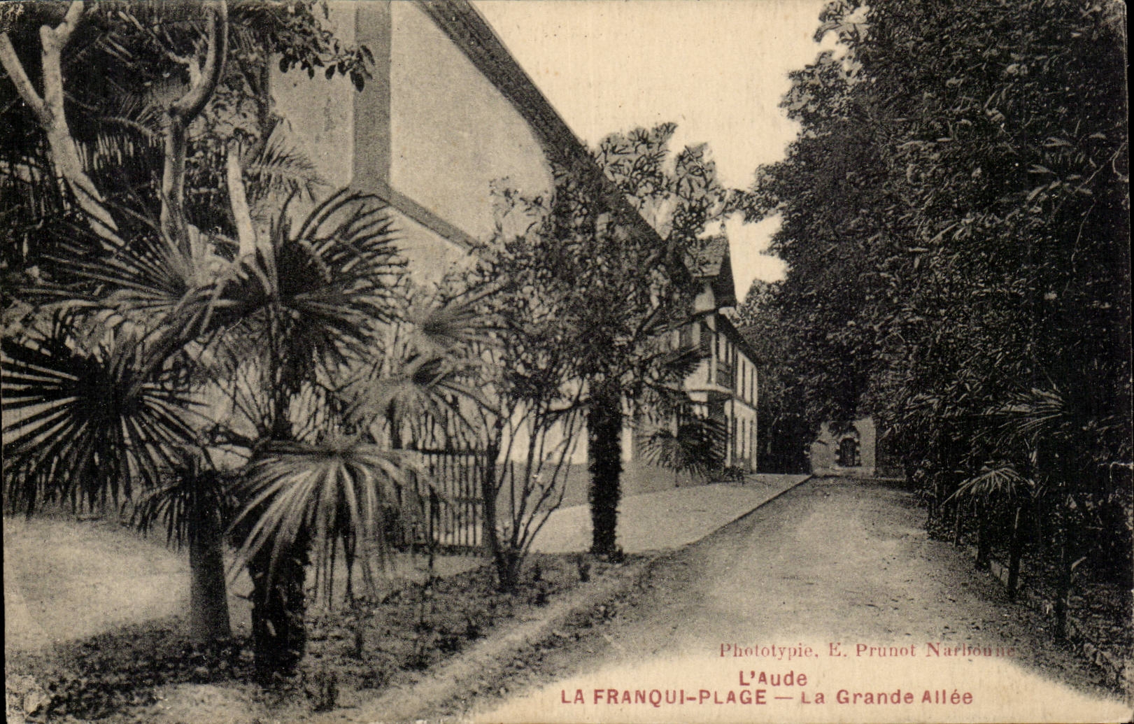 La Franqui-Plage — La Grande Allée — Phototypie E. Prunot Narbonne