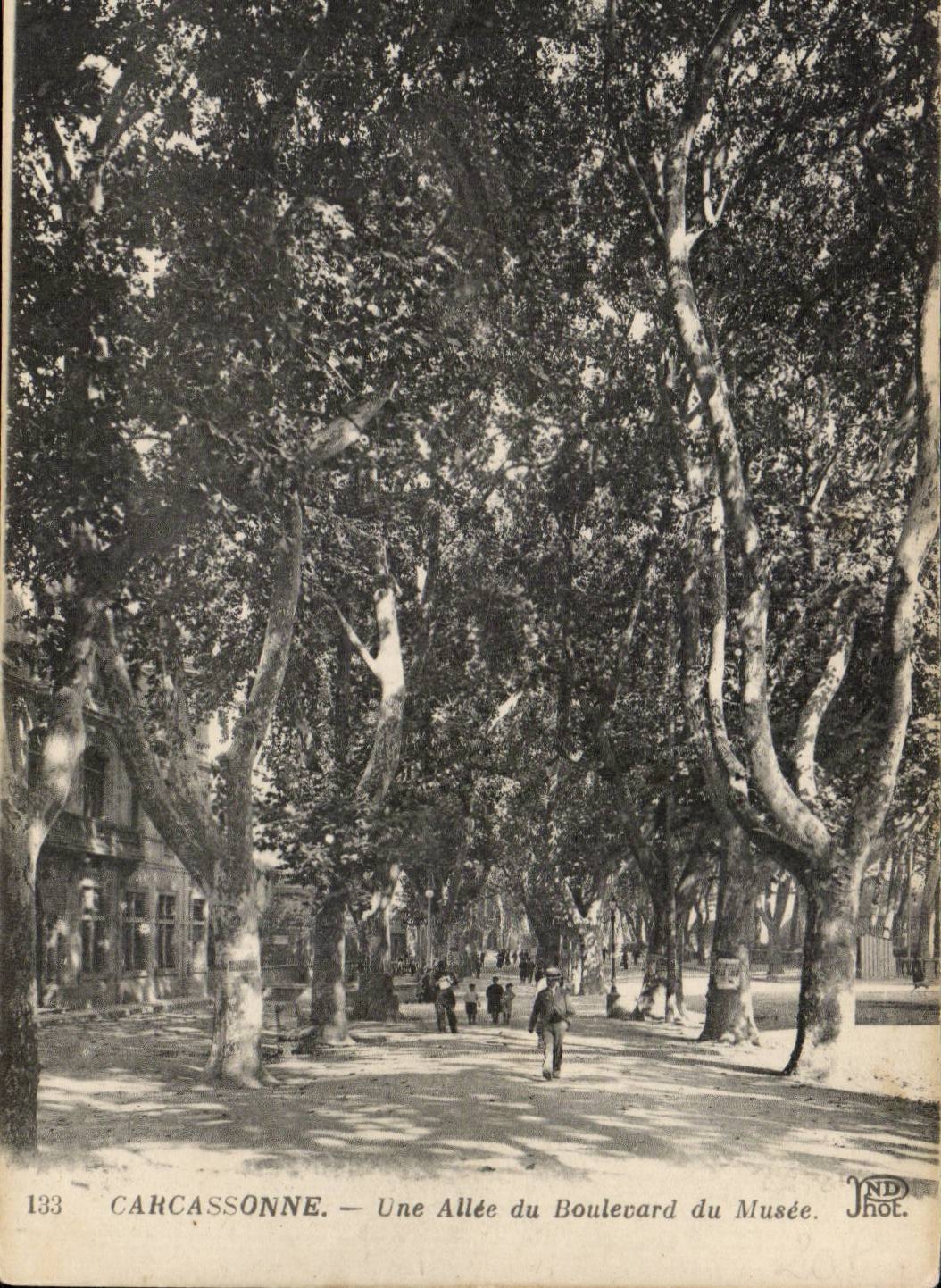 Carcassonne CPA Une allee du boulevard du musee