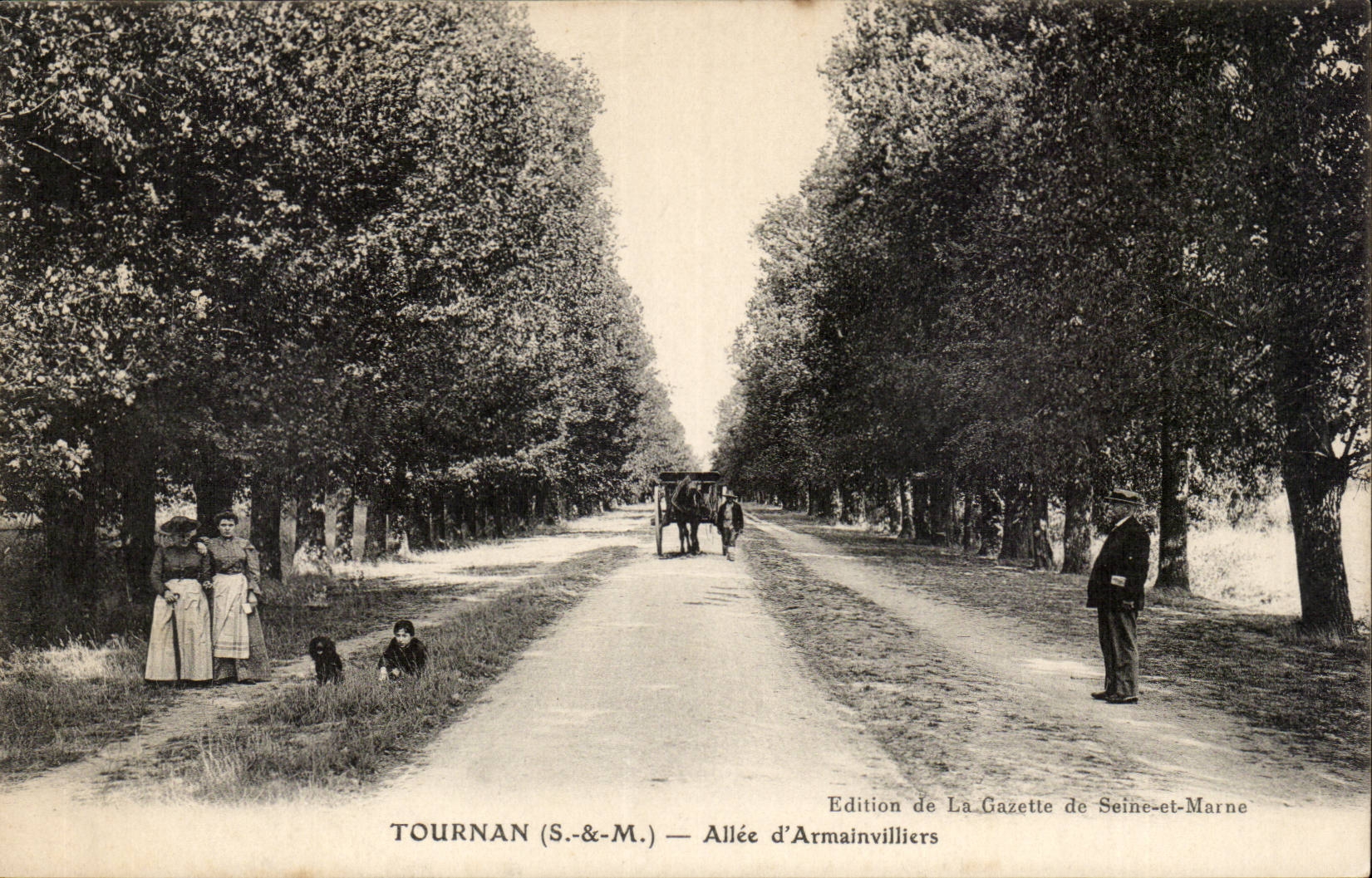 Tournan CPA Allee d'Armainvilliers
