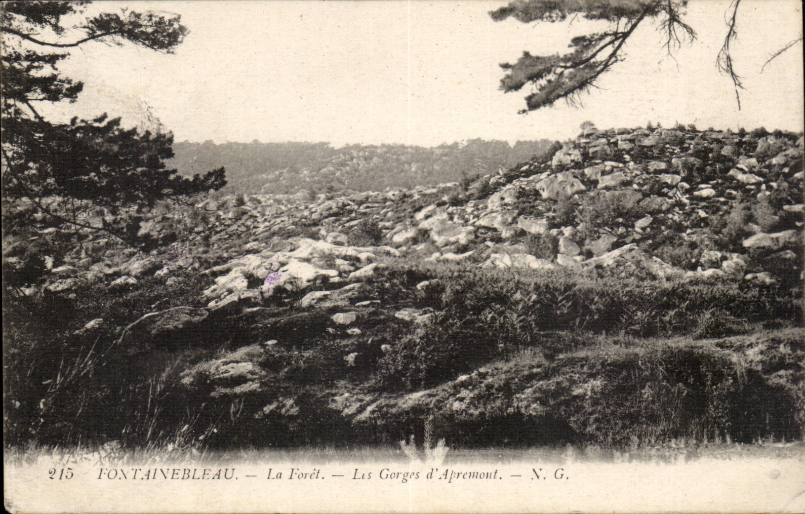 Fontainebleau — La Selva — Las Gorges d'Apremont — N.G.