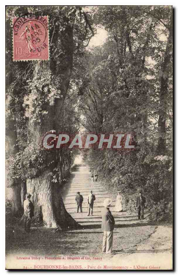 Bourbonne les Bains CPA Parc de Montmorency L'orme geant