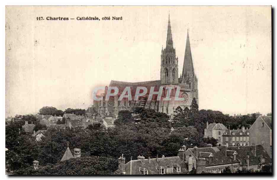 Chartres CPA La cathedrale Cotge Nord