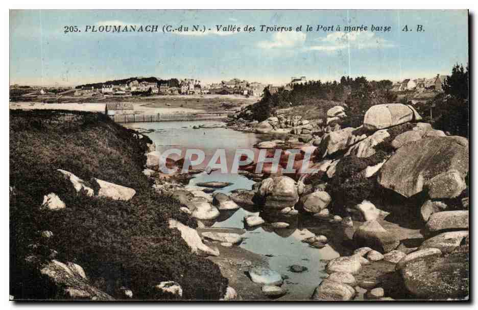 Ploumanach CPA Vallee des Troieros et le port a maree basse
