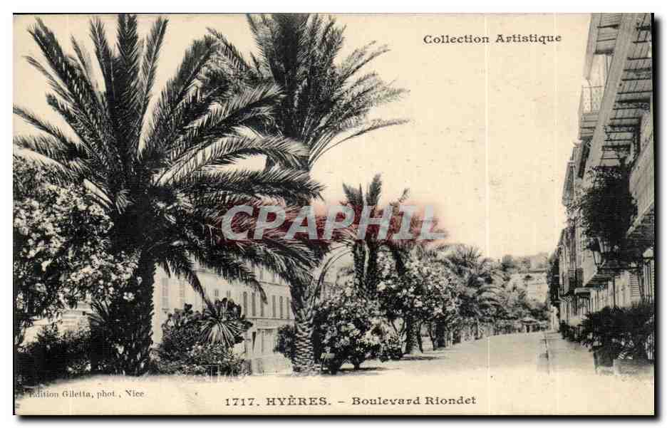 Hyeres - Boulevard Riodet - Palmiers - CPA 