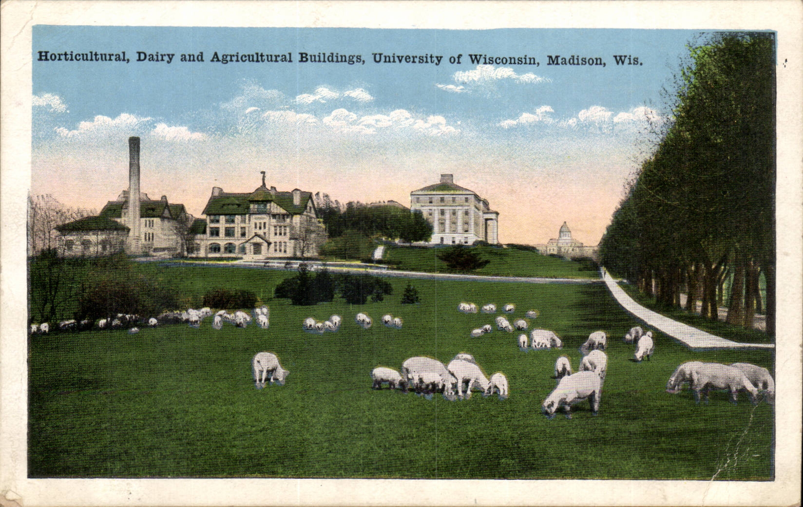 Etas Unis - United States - USA - Madison Wisconsin - Horticultural Dairy and Agricultural Buildings - CPA 