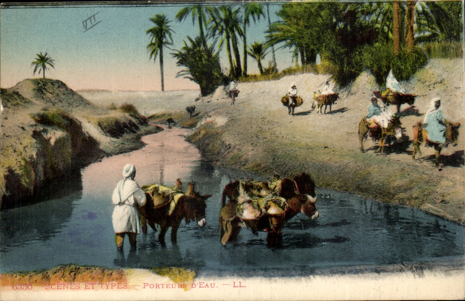 Afrique - Algerie - Africa - Algeria - Scene et Types - Porteeurs D'Eau - ane - donkey - CPA 