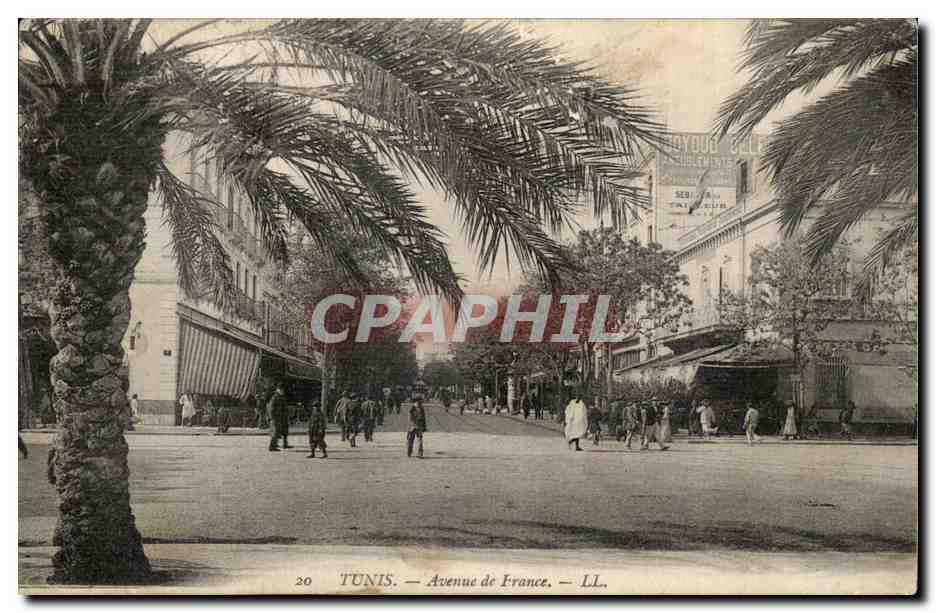 Afrique - Tunisie - Africa - Tunis - Avenue de France - CPA 