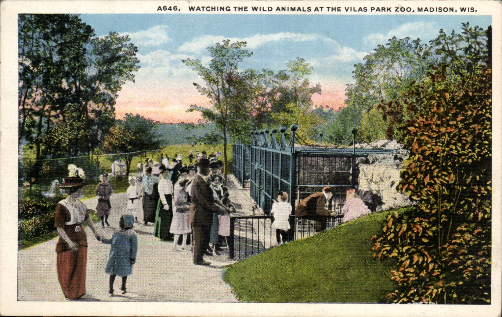 Etas Unis - United States - Wisconsin - Watching the Wild Animals at the Vilas Park Zoo - Madison - CPA 