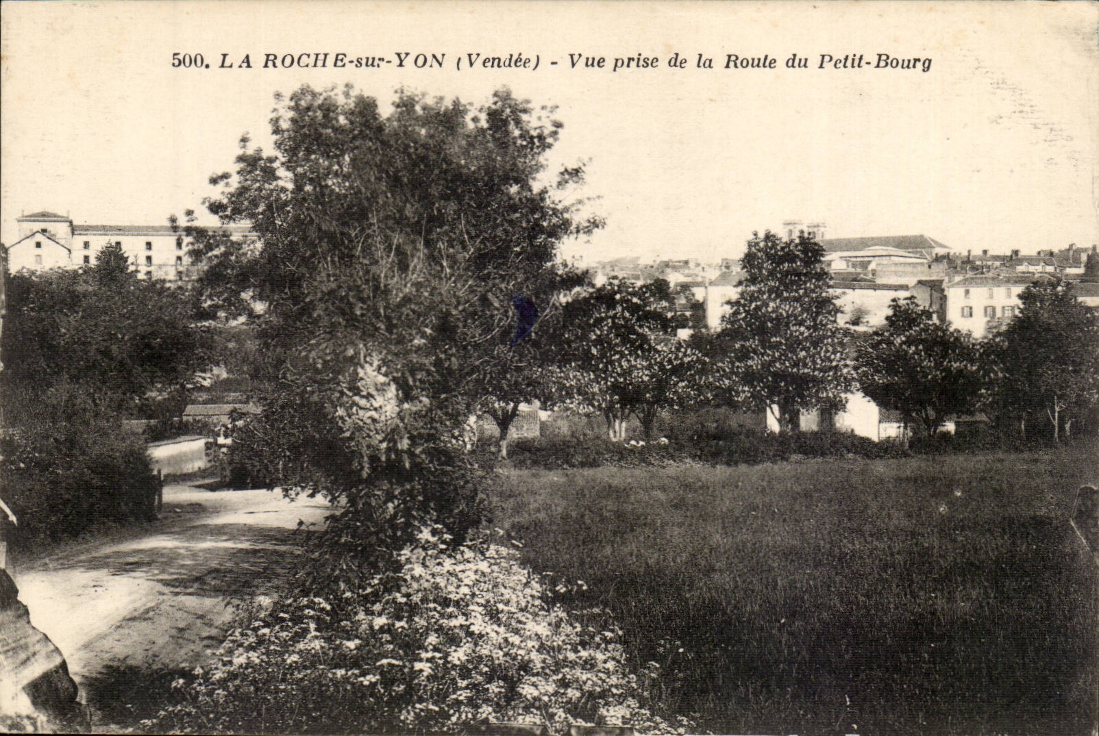 La Roche sur Yon CPA Vue prise de la route du Petit Bourg