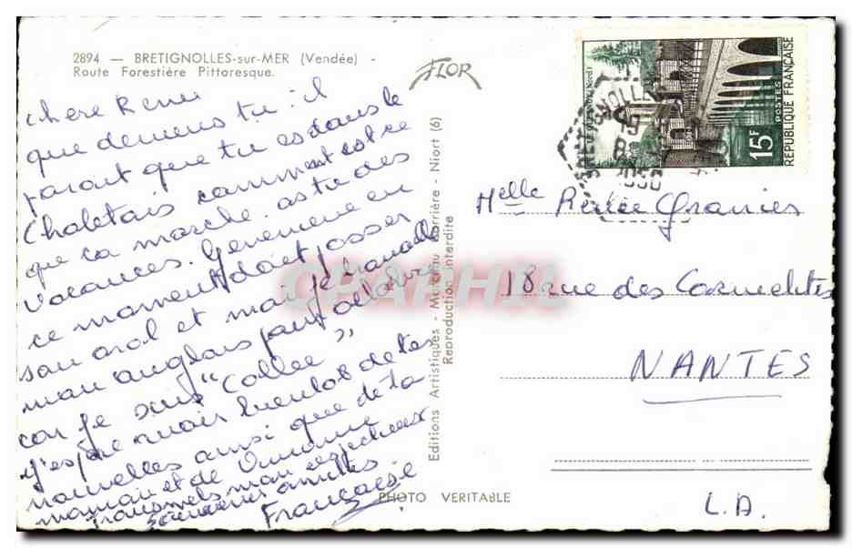 Bretignolles sur mer CPM Route forestiere pittoresque — Back