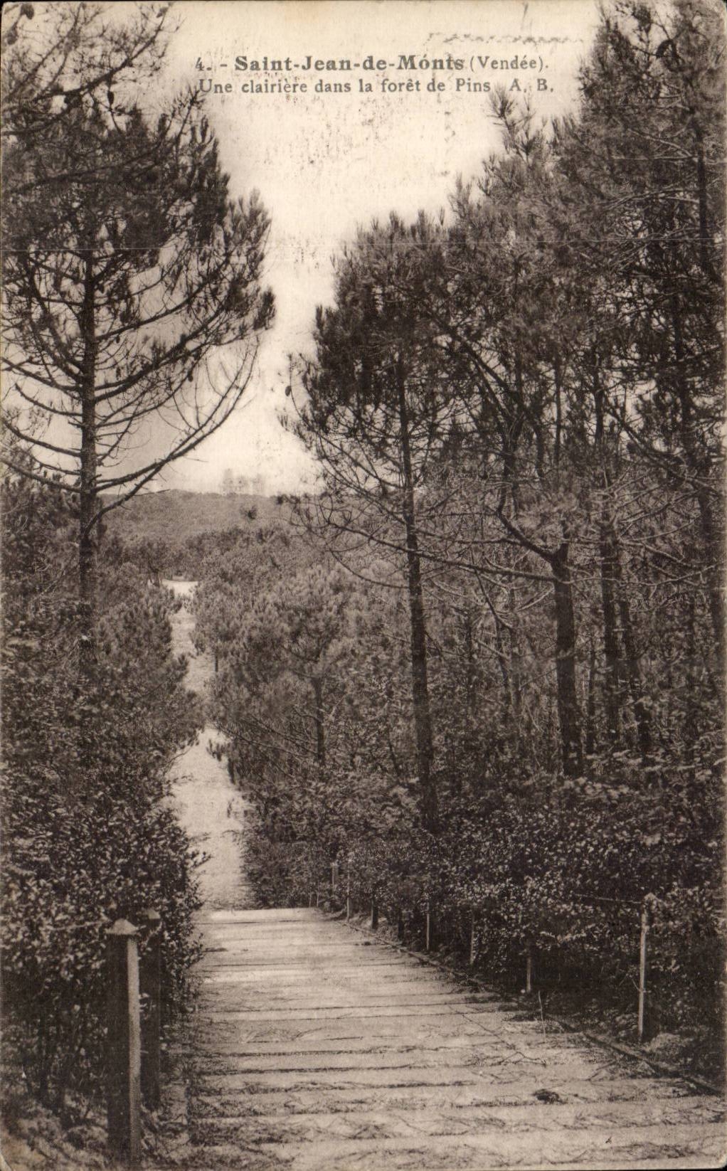 Saint-Jean-de-Monts (Vendée) — A clearing in the Pine Forest — A. B.