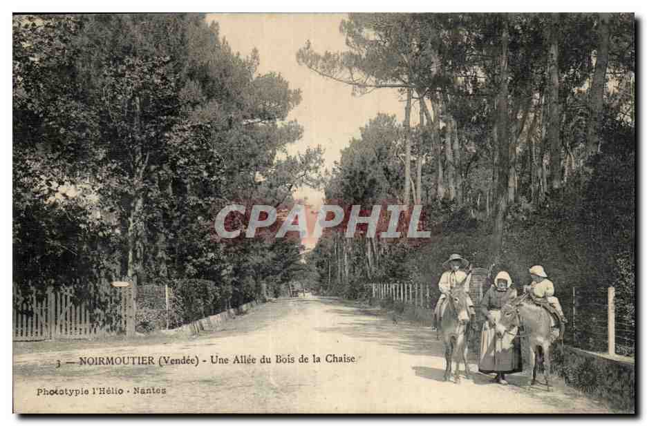 Noirmoutier (Vendée) — Une Allée du Bois de la Chaise — Phototypie l'Hélio • Nantes